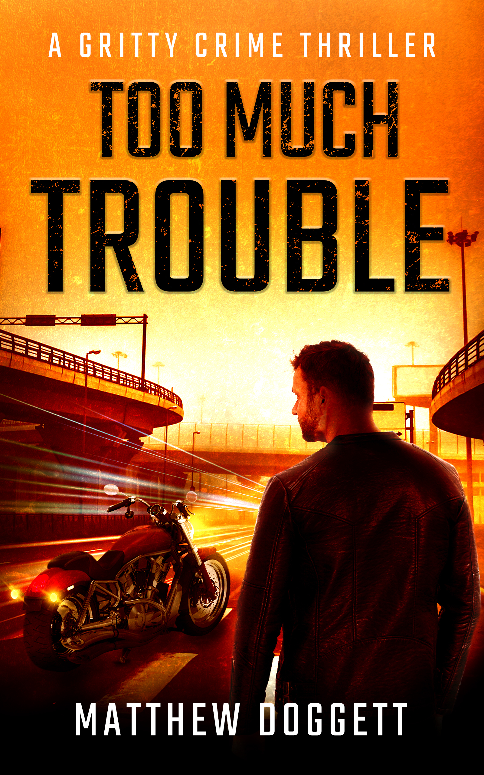 Too Much Trouble Book Cover